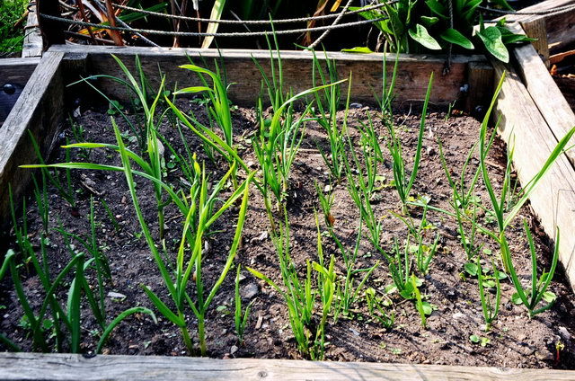 130502_d300s_028-medium