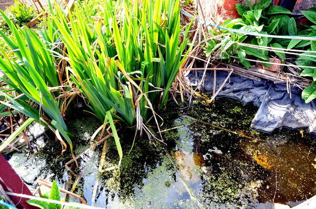 130502_d300s_034-medium