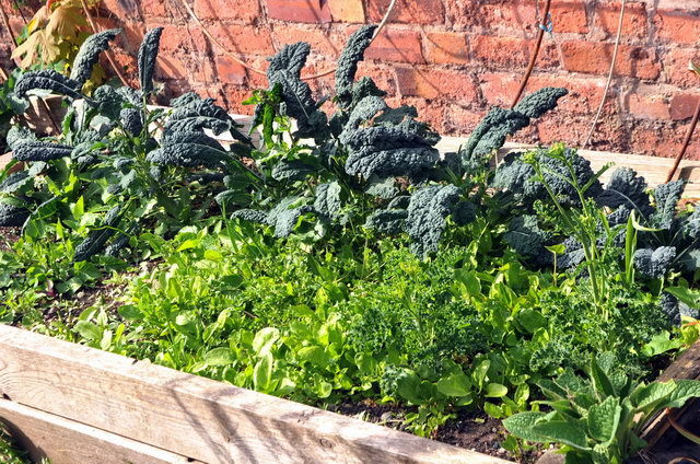 130502_d300s_040-medium