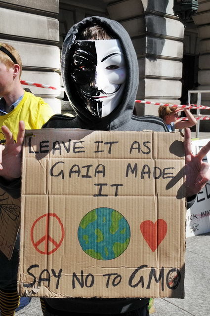 130525_d300s_092-medium