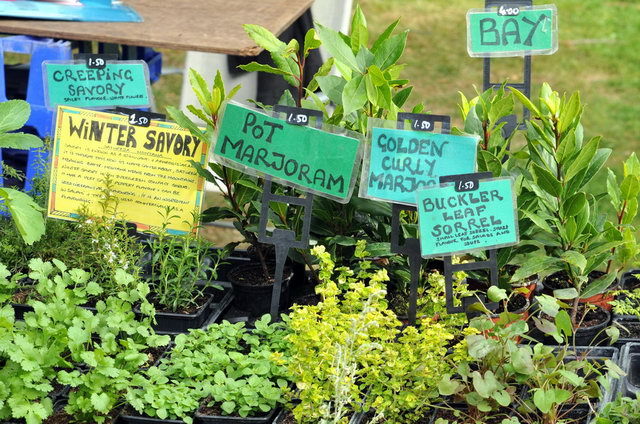 130901_d300s_090-medium